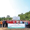 Dai-ichi Life Việt Nam: Bền vững từ nền tảng, vươn xa bằng giá trị