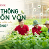 Tổ vay vốn Agribank: Khơi thông nguồn vốn, trợ lực vững chắc cho “Tam nông”