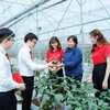 Sản xuất xanh đã trở thành con đường tất yếu của phát triển