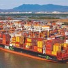 Cụm cảng Cái Mép - Thị Vải mỗi tuần đón hơn 40 tuyến vận tải biển quốc tế kết nối trực tiếp các cảng biển, trung tâm logistics lớn trên toàn cầu (Ảnh: Lê Toàn)