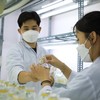 Nuôi cấy mô tại phòng thí nghiệm 