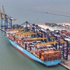 Siêu tàu MATZ MAERSK cập Cảng container Quốc tế Hateco Hải Phòng (Ảnh: PV)
