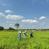 Cắm mốc giải phóng mặt bằng tuyến cao tốc TP.HCM - Mộc Bài. Ảnh: Lê Anh