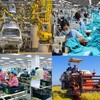 Chính phủ ban hành Bộ tiêu chí đánh giá kết quả công nghiệp hóa, hiện đại hóa.