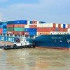 Từ 15/8/2026: Được dùng tài sản số để cho thuê tài chính; bỏ trần 500 triệu khi duyệt online 