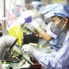 Việt Nam đang bước sang giai đoạn mới trong thu hút FDI. Trong ảnh: Nhà máy của R Technical (Nhật Bản) tại Phú Thọ. Ảnh: Đức Thanh