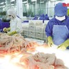 6 tháng đầu năm nay, kim ngạch xuất khẩu thủy ước đạt khoảng 5,7 tỷ USD, tăng khoảng 11% so với cùng kỳ năm trước. Ảnh: Lê Toàn