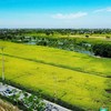 Hải Phòng phát triển nông thôn bền vững với Bộ tiêu chí nông thôn mới giai đoạn 2026-2030 