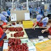 Với kinh nghiệm nhiều năm xuất khẩu hàng sang các thị trường khó tính, các doanh nghiệp đủ tự tin để chinh phục khách hàng tại thị trường EFTA (Ảnh: Lê Toàn)