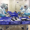 Doanh nghiệp Việt xuất khẩu sang Israel lưu ý quy định về lao động cưỡng bức. 