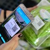Hà Nội thí điểm mô hình tiêu dùng số, khuyến khích truy xuất nguồn gốc và công khai thông tin sản phẩm nhằm bảo vệ người tiêu dùng. Ảnh: minh họa.