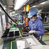 Bài toán kết nối FDI: Lời giải từ doanh nghiệp Việt 