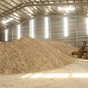 Sắn lát trong kho chờ xuất khẩu. Ảnh: ĐVCC.