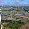 Cần Thơ đề xuất bổ sung vào quy hoạch 11 dư án điện gió. (Ảnh: Điện gió Lạc Hòa)