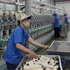 Xuất khẩu của khu vực doanh nghiệp trong nước 7 tháng gần 64 tỷ USD, chiếm 19,9% tổng kim ngạch xuất khẩu. 