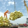 TP.HCM yêu cầu cơ quan chức năng tuyệt đối không để xảy ra tình trạng chậm trễ, ách tắc khó khăn cho doanh nghiệp xuất khẩu gạo.