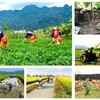 Bộ Tài chính đề xuất thống nhất 4 chương trình mục tiêu quốc gia thành một Chương trình tổng thể, nhằm nâng cao hiệu quả quản lý, sử dụng nguồn lực và tăng cường phân cấp cho địa phương.