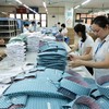 Đơn hàng xuất khẩu cải thiện đang thúc đẩy nhiều doanh nghiệp mở rộng sản xuất và tuyển dụng lao động