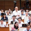 Đại biểu Nguyễn Ngọc Sơn (Hải Phòng) tham gia thảo luận - Ảnh: QH.