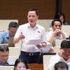 Đại biểu Trịnh Xuân An (Đồng Nai) phát biểu tại hội trường. 