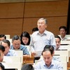 Đại biểu Trịnh Ngọc Phương (Tây Ninh) phát biểu tại hội trường - Ảnh: QH. 