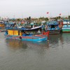 Lực lượng chức năng TP.HCM sẽ xử lý nghiêm khắc các hành vi sai phạm quy định đối với tàu cá