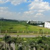 Một khu đất chưa triển khai dự án tại Khu công nghệ cao TP.HCM - Ảnh: Lê Quân