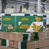 Xuất khẩu sang Italia phải tuân thủ nghiêm ngặt quy định về bao bì, chế tài xử phạt sẽ áp dụng từ tháng 1/2030. 