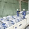 Tiêu thụ xi măng 8 tháng năm 2026 tăng cả ở kênh nội địa lẫn xuất khẩu. 