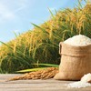 Câu chuyện tại Lộc Trời cho thấy, vốn nhà nước cần được chuyển giao về những tổ chức có đủ năng lực quản lý vốn
