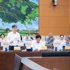 Thứ trưởng Bộ Khoa học và Công nghệ Hoàng Minh trình bày tờ trình - Ảnh: QH. 