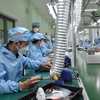 Trong tổng nguồn lực dự kiến, Đà Nẵng bố trí hơn 854 triệu đồng để hỗ trợ doanh nghiệp nhỏ và vừa, trong đó có doanh nghiệp nhỏ và vừa kinh doanh bền vững. 