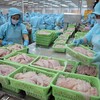 Doanh nghiệp xuất khẩu hưởng lợi từ USD tăng ở mức độ khác nhau, tùy thuộc cơ cấu doanh thu, chi phí và dòng tiền ngoại tệ