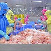 Thủy sản mang về hơn 8 tỷ USD trong 8 tháng năm 2026, nhưng đang gặp nhiều rào cản tại các thị trường 