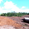 Tại gói thầu XL.04, đoạn qua xã Hra, nhà thầu chuẩn bị mặt bằng để thi công dự án.