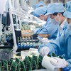 Doanh nghiệp xuất hàng sang EU được khuyến nghị rà soát lại tuyên bố về môi trường trên bao bì sản phẩm. 