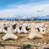 Dự án Kho xăng dầu Việt Lào sẽ bị chấm dứt dự án nếu không kịp hoàn thành giai đoạn I vào tháng 5/2027 (Ảnh: Minh Tân) 