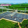 Thời gian qua EVNNPT đã nỗ lực đóng điện được nhiều dự án, song vẫn còn dự án gặp vướng mắc 