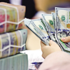 KIS Research: Tỷ giá có thể tăng nhẹ trong những tháng cuối năm