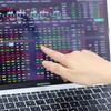 Các nhóm ngành được kỳ vọng bứt phá gồm bất động sản dân cư, dầu khí, bán lẻ và vận tải