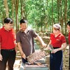 Trong cơ cấu tín dụng xanh của Agribank, lâm nghiệp bền vững chiếm tỷ trọng hơn một nửa tổng dư nợ