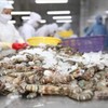 Doanh nghiệp cần kiểm soát chất lượng, minh bạch chuỗi cung ứng, tuân thủ quy tắc xuất xứ cho hàng xuất khẩu sang khu vực EFTA. 