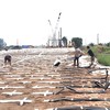 Đắp nền tuyến cao tốc Châu Đốc - Cần Thơ - Sóc Trăng