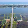 Dự án Tổ hợp điện gió gần bờ kết hợp sản xuất Hydro xanh và Amoniac sẽ được triển khai tại vùng biển xã Thăng Trường.
