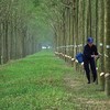 Cao su Phước Hòa (PHR) có thể lãi hơn 1.700 tỷ đồng nhờ tiền đền bù đất khu công nghiệp 