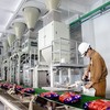Hoá chất Đức Giang (DGC) muốn chuyển nhượng nhà máy cồn từng mua với giá hơn 253 tỷ đồng