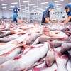 Xuất khẩu cá tra tháng 12 tăng 10%, riêng thị trường Mỹ giảm tới 37%