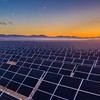 Helio Energy (HIO) ấn định ngày lên sàn HOSE, rời UPCoM từ 6/11