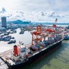 Cảng Quy Nhơn (QNP): Lợi nhuận sau thuế 6 tháng đạt 85,2 tỷ đồng, tăng 30,5% so với cùng kỳ