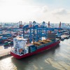 Cảng Đình Vũ (DVP): Kết quả kinh doanh quý I/2026 đi lùi, chia cổ tức 50% bằng tiền mặt